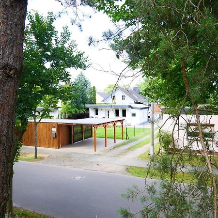 Haus Kleiner Findling Im Lausitzer Seenland Tätzschwitz المظهر الخارجي الصورة