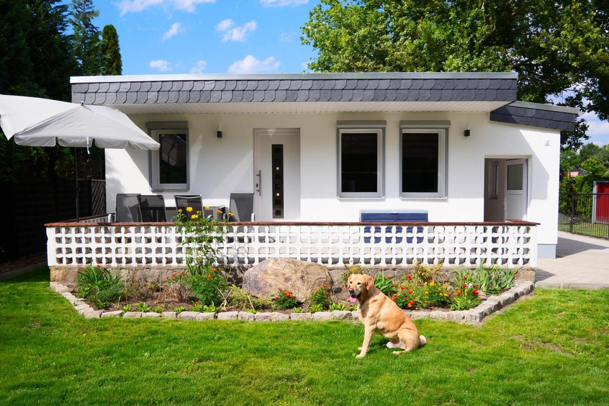 Haus Kleiner Findling Im Lausitzer Seenland Tätzschwitz المظهر الخارجي الصورة